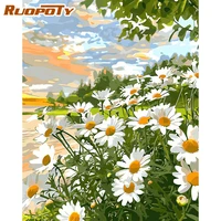 ruopoty oil painting by numbers handpainted for adults daisy flowers gift diy crafts picture paint decorative painting kits