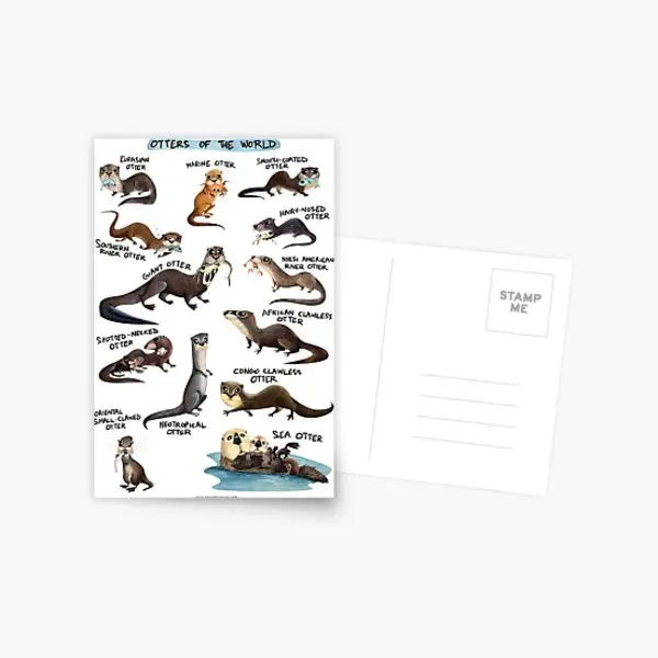 

Otters Of The World Postcard Boys Life Photocard Bedroom Greeting Card Memory Aesthetic Photo Print Album Modern Gift Indoor