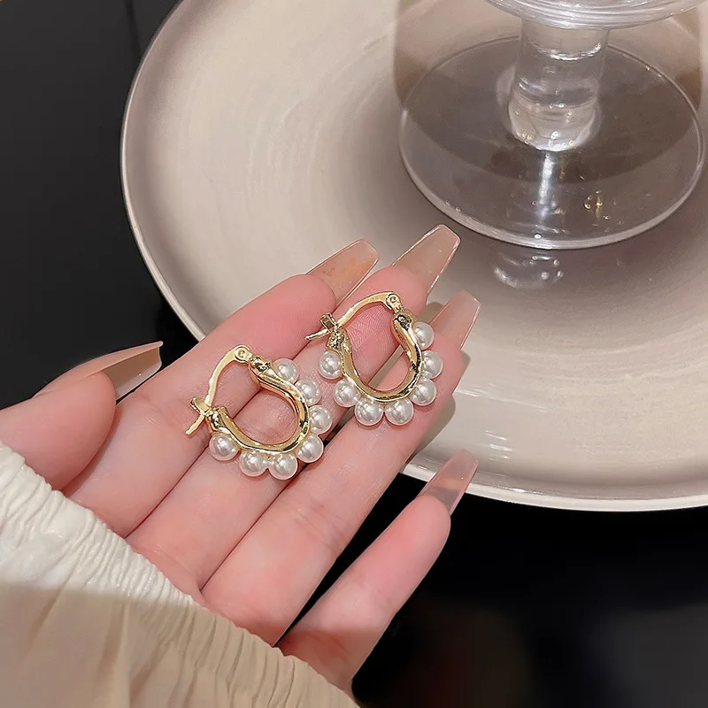 

Korean Luxury S925 Silver Needle Pearl Earrings for Women Jewelry Gothic Pendientes Hoops Piercing Y2k Accessories Goth Cute
