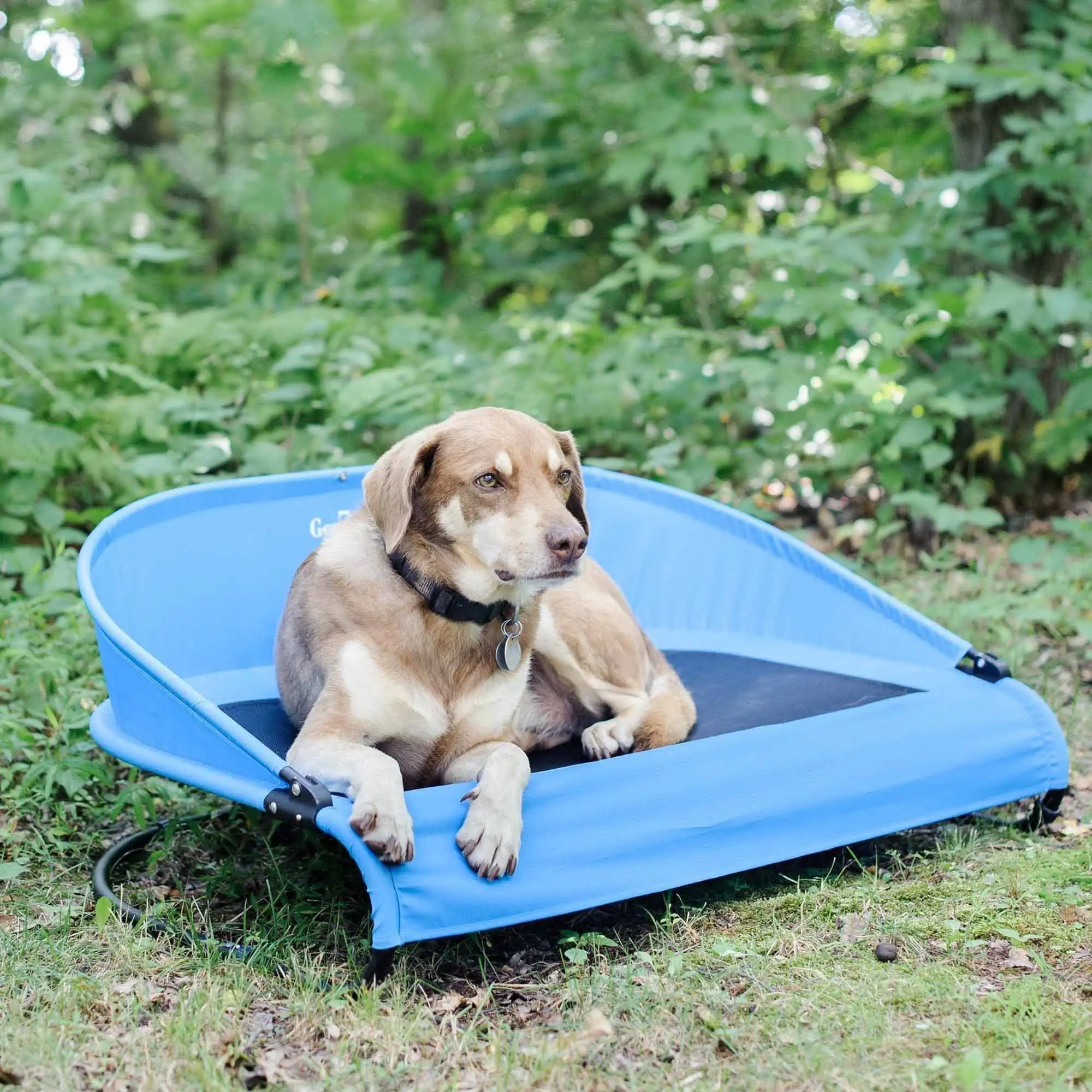 

Free shipping Cool-Air Cot Pet Bed Large Trailblazer Blue