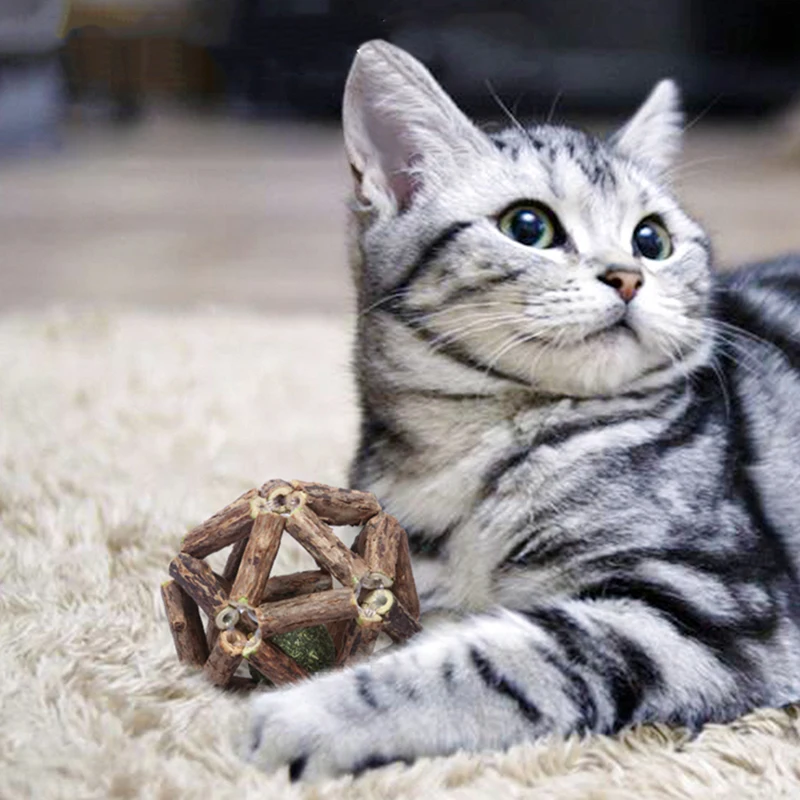 

Маленький Мяч для кошек, игрушки для кошек, Интерактивная игрушка для котят, чистящие зубы кошек, полезные деревянные мячи для кошачьей мяты...