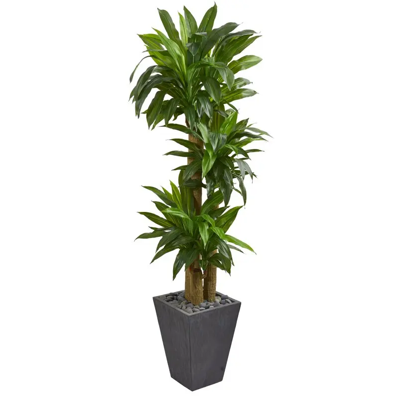 

Plastic 5.5' Cornstalk Dracaena Artificial Plant in Slate Planter, Green