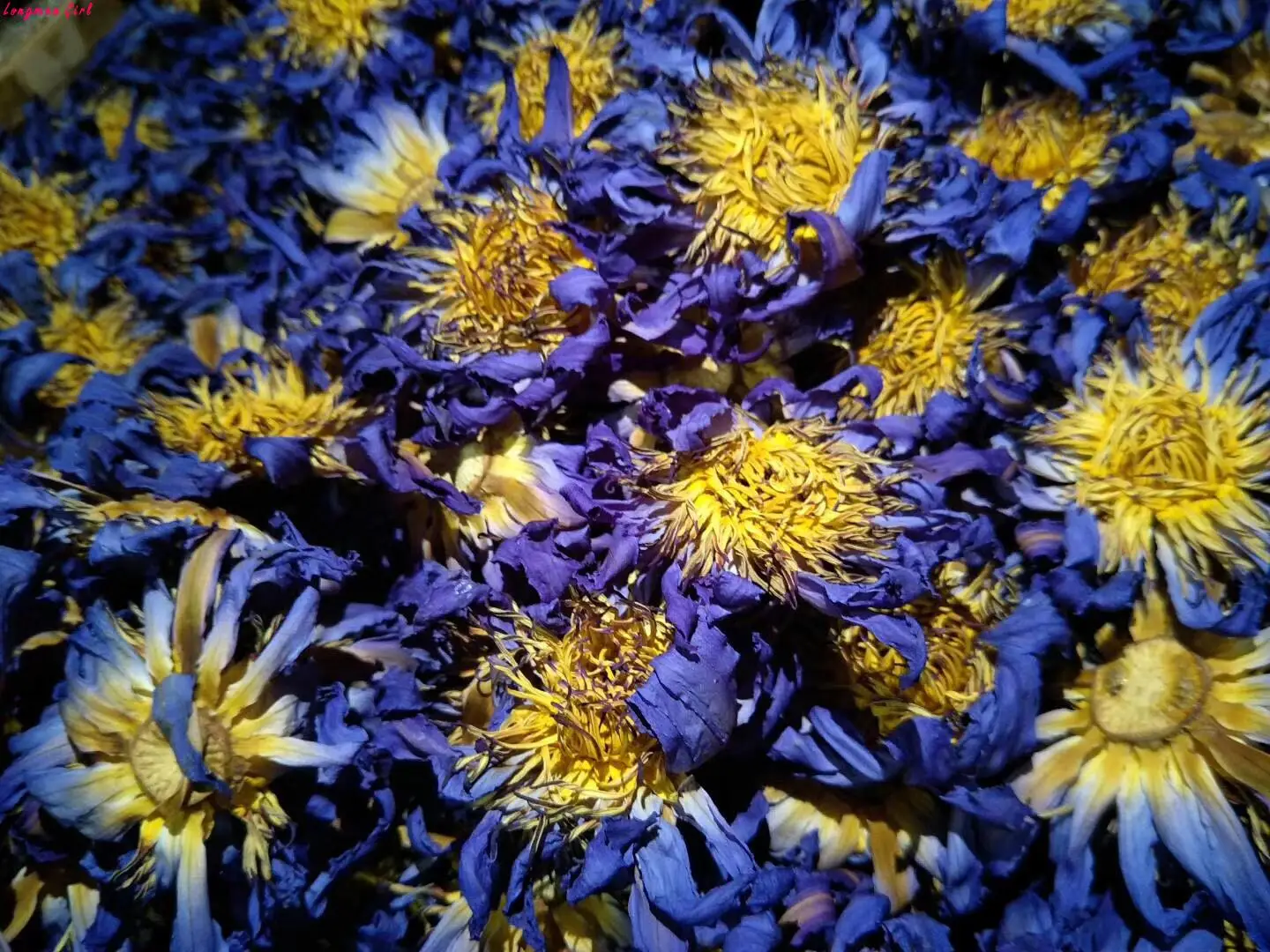 

1kg Blue Lotus Dried Flower Egyptian Water Lily Low Temperature Baking Supplies