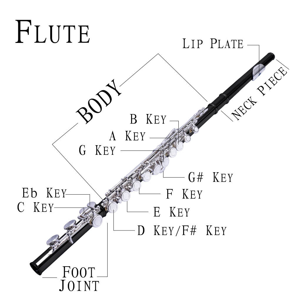 NAOMI Professional 16-Holes C Key Concert Flute Closed Pore Cupronickel Silver Plated Flute enlarge