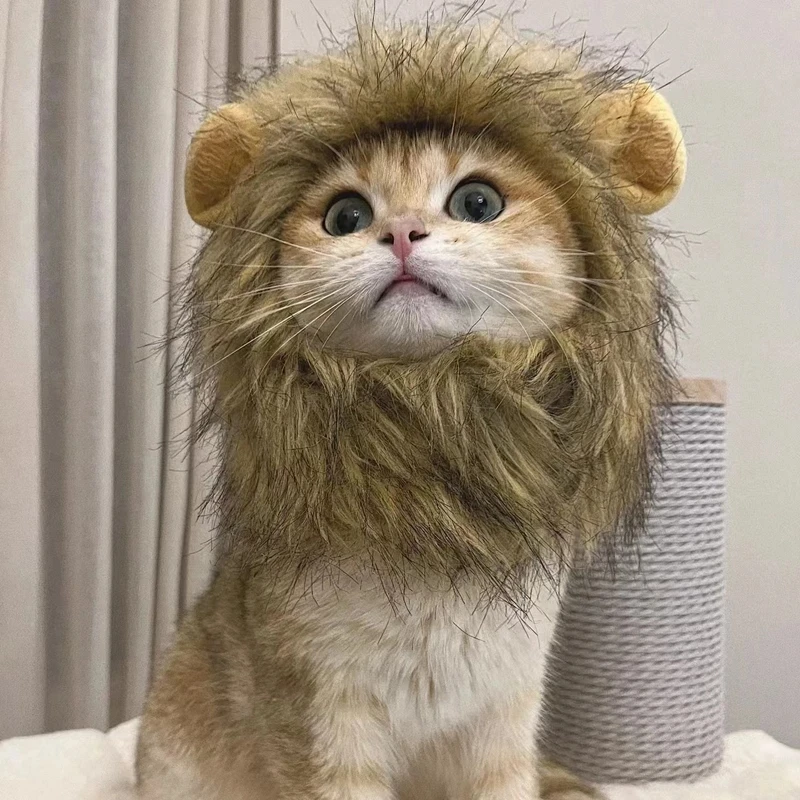 

Cute Lion Wig Costume Cat Dog Wig Hat Funny Small Medium-Sized Hair Cap Cat Accessories Pet Headgear Headband Mane Decoration