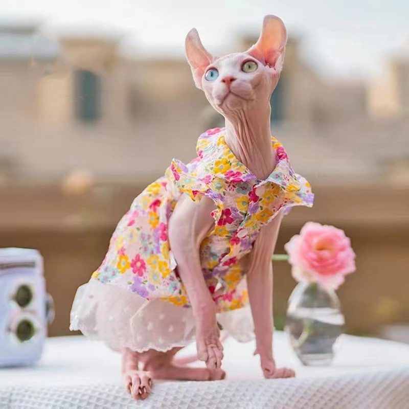

Sphinx Pet Cat Floral Dresses Princess Clothes For Sphynx Cat Kitten Suspender Flower Lace Skirt Devon Rex Summer Spring Autumn
