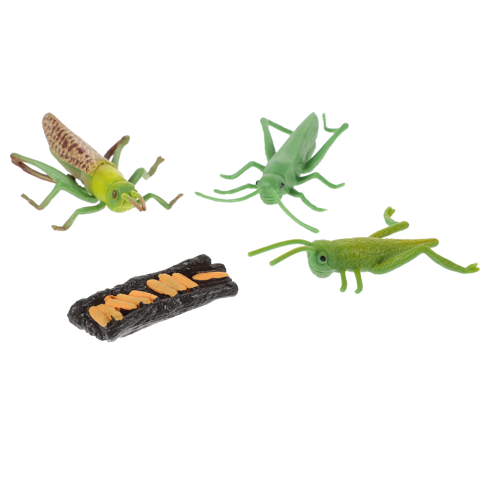 

Stag Beetle Growth Week Fake Grasshopper Models Shape Imitation Educational Funny Figurines Playthings Frog Toy