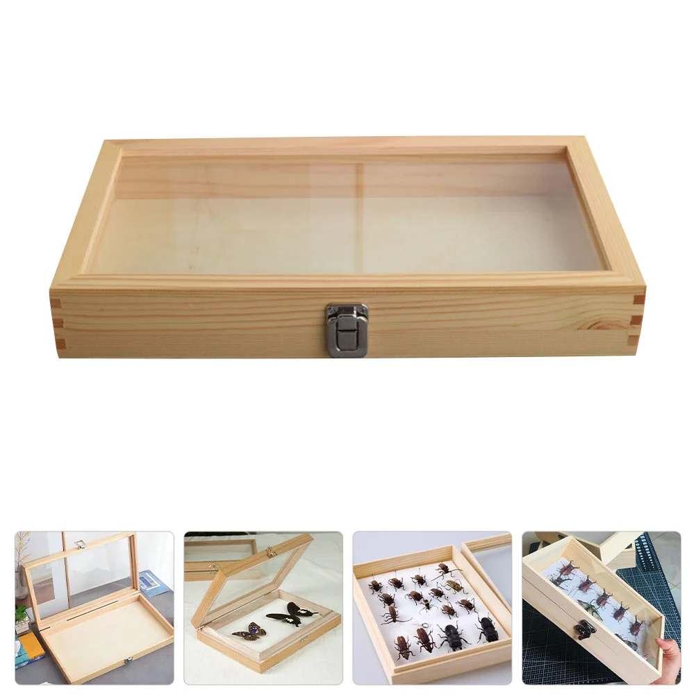 

Insect Specimen Storage Case Wooden Display Glass Photo Frames Natural Picture Butterflies Dustproof Tray Vintage Shadow box