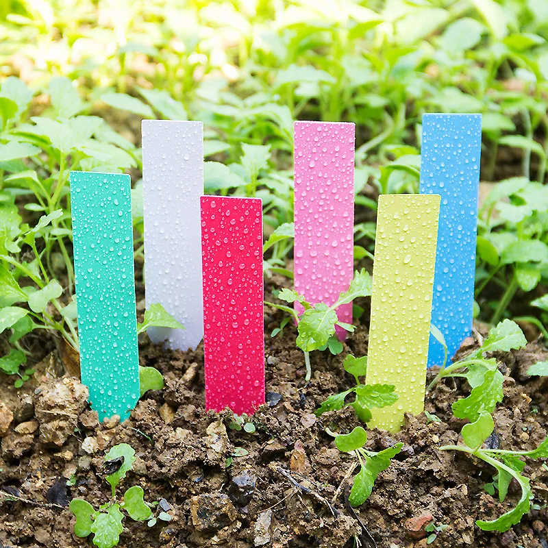 

100Pcs Garden Labels Plastic Plant Tags Garden Nursery Markers Waterproof Plant Sorting Sign Tag Flower Pot Tray Seedling Labels