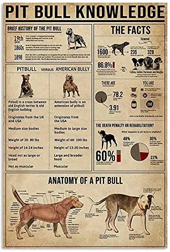 Знания питбуля ретро металлический жестяной знак анатомия печатный плакат