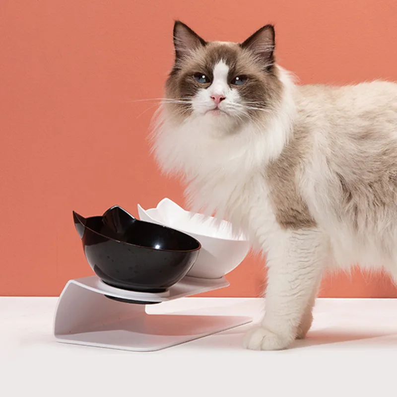 

Double Cat Bowl Dog Cat Feeder Cat Water Bowl For Dogs Pet Bowls Dog Feeder For Cat Supplies Bowls And Drinkers Cat Accessories