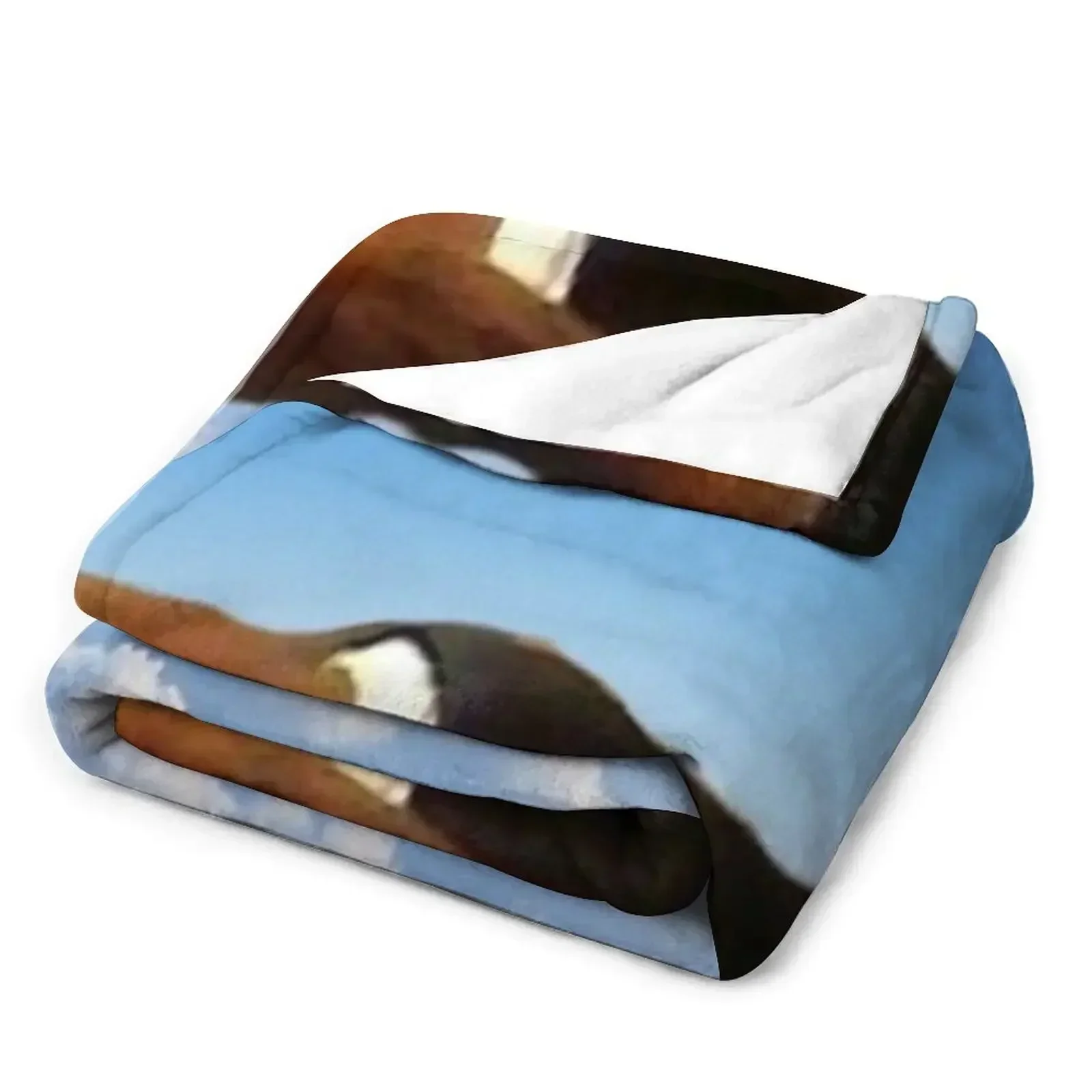 Гобелены Bruh Guy гобелены одеяло роскошное для путешествий одеяла