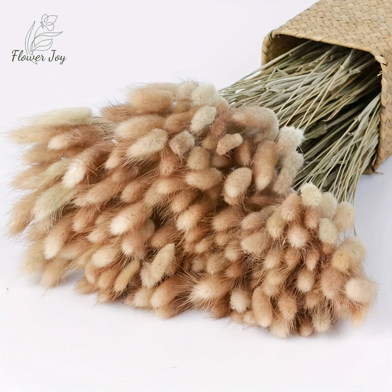 

100PCS Bunny Rabbit Tail Grass Natural Dried Flowers Bouquet Christmas Wedding Decoration Lagurus Pampas Home Decor Photo Props