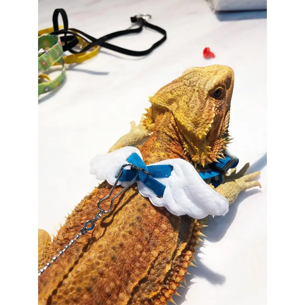 

1 Pcs Lizard Angel Wings Walking Leash Harness Soft Comfortable Breathable Traction Rope For Daily Walking Training Wholesale