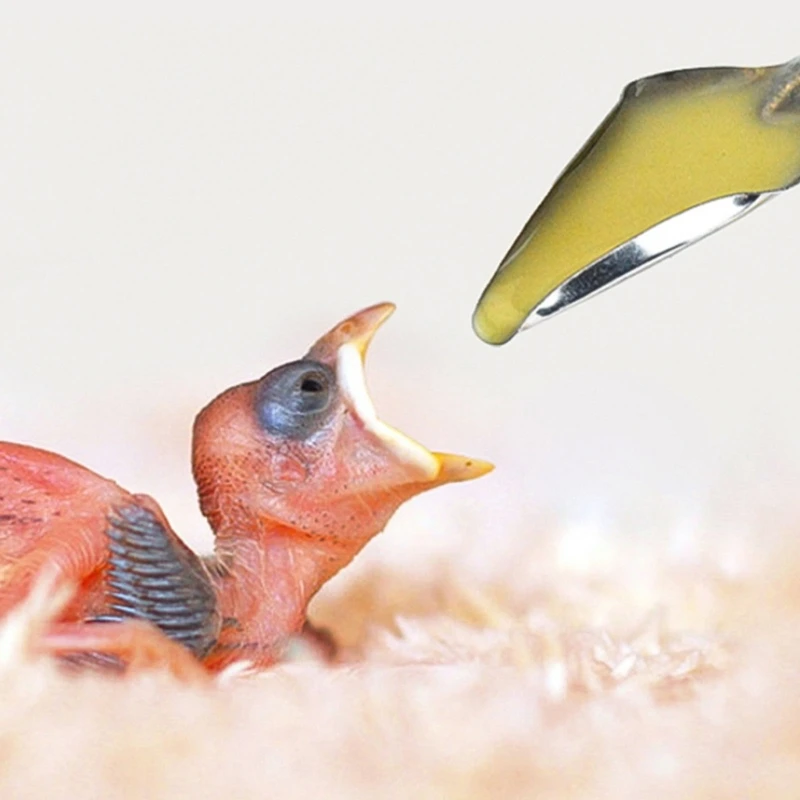 6 шт. ложка для молока из нержавеющей стали