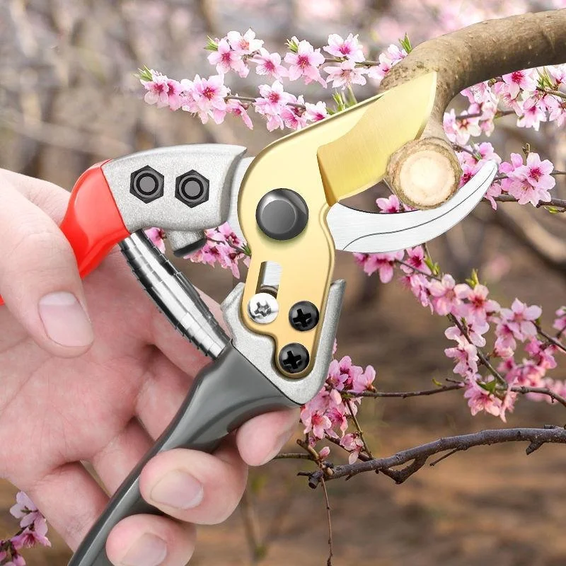 

8-Inch Gardening Scissors Thick Branch Fruit Tree Scissors Labor-saving Bonsai Ergonomic Handle Hand Pruner Branch Clippers