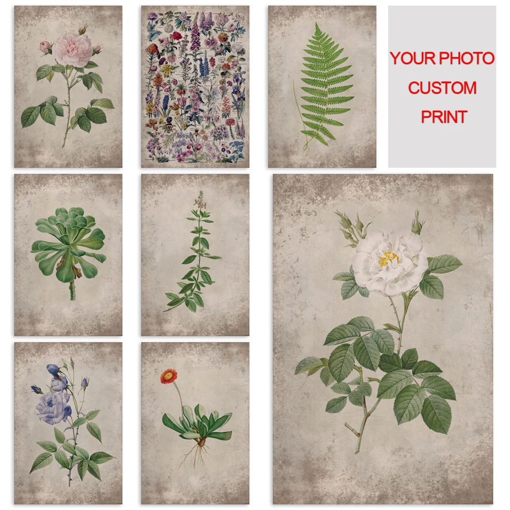 

Floral Plant Wall Painting Canvas Botanical Illustration Modular Pictures Print Posters Home Decoration Artwork For Living Room