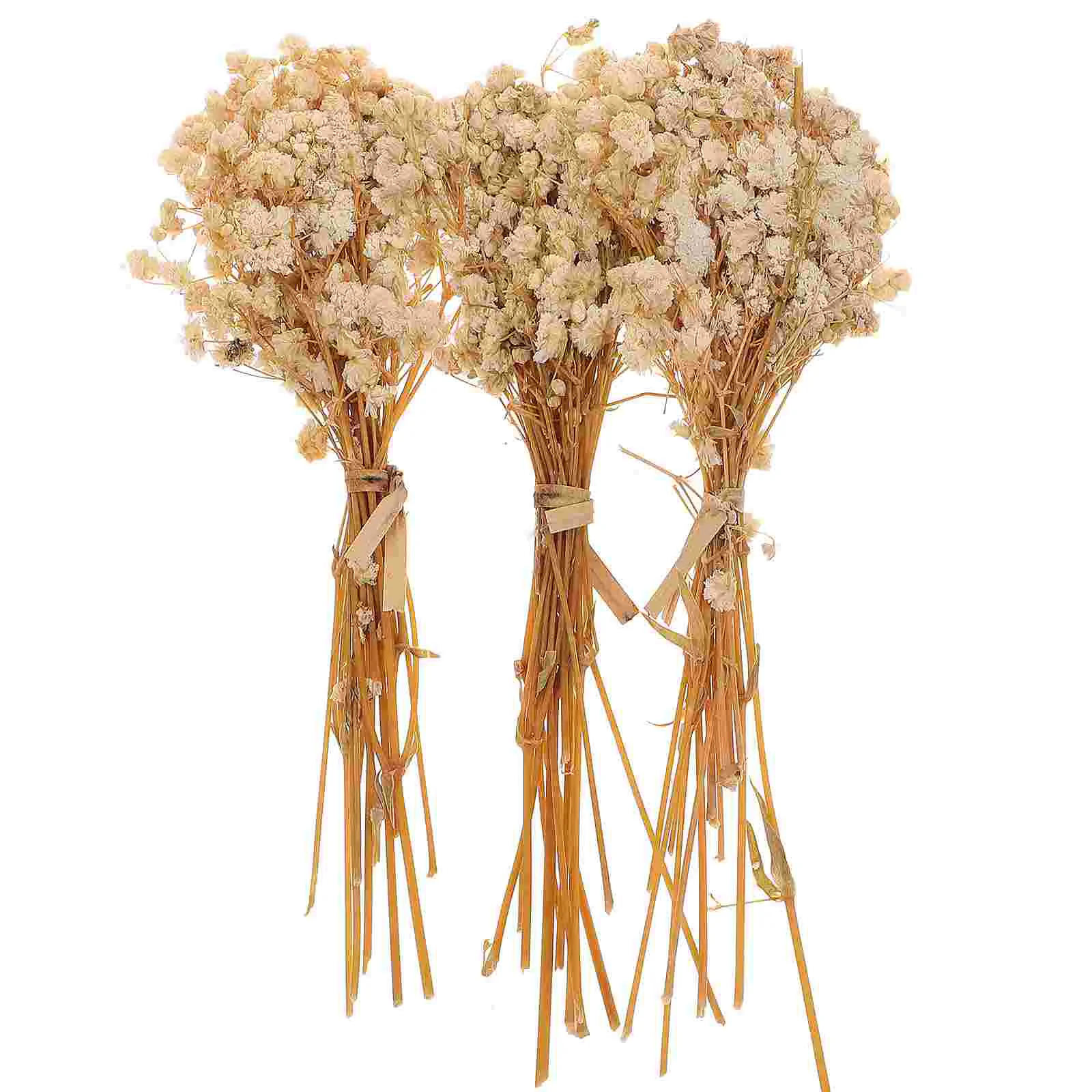 

Dried Flowers Flower Babysbreath Breath Bouquet Babys Branches Gypsophila Vase Stems Permanent Decor Natural Baby Dry Artificial