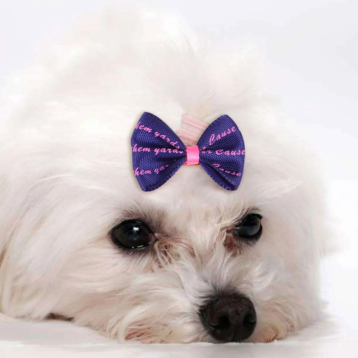 

Hair Pet Clip Dog Hairpin Bows Clipsdogs Puppy Bow Barrettes Bowknotexquisite Small Barrette Accessory Animal Adorable Hairpins