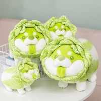 20 50cm cute japanese vegetable dog plush toys creative chinese cabbage shiba inu stuffed pillow animal sofa pillow baby gifts
