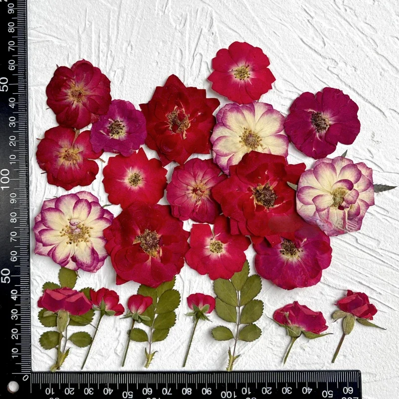 24 шт./пакет рельефная комбинированная Цветочная рамка в виде Розы