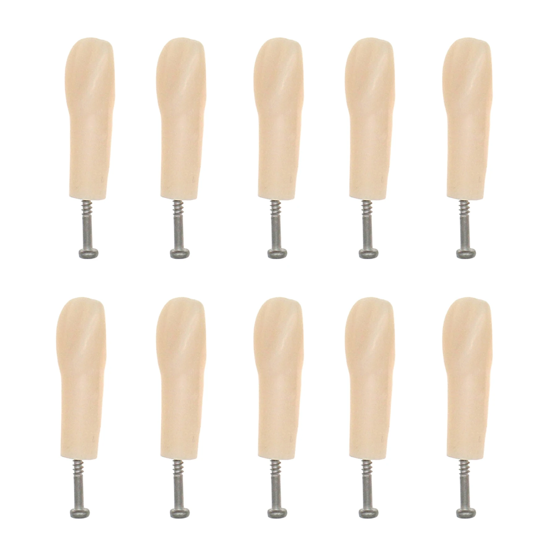 Зубная модель зубов зубной практики индивидуальная замена наполнение смолой