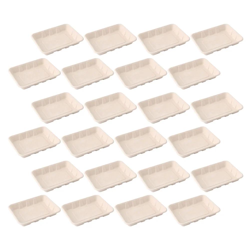 

50Pcs Disposable Barbecue Plates Fruit Serving Plates Party Accessories