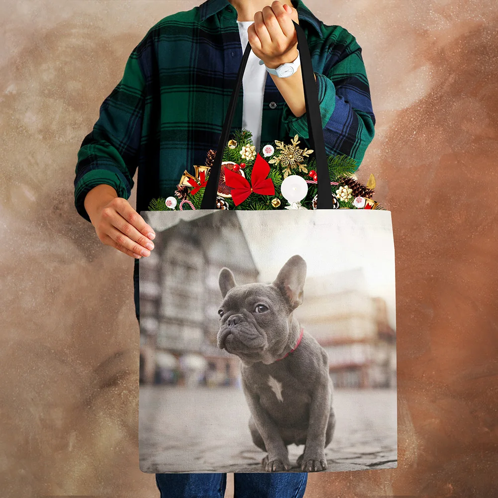 

DICHOS Women's Tote Bag Vintage 50s-60s Style cute animals Printed Reusable Travel School Beach Shoulder Bags