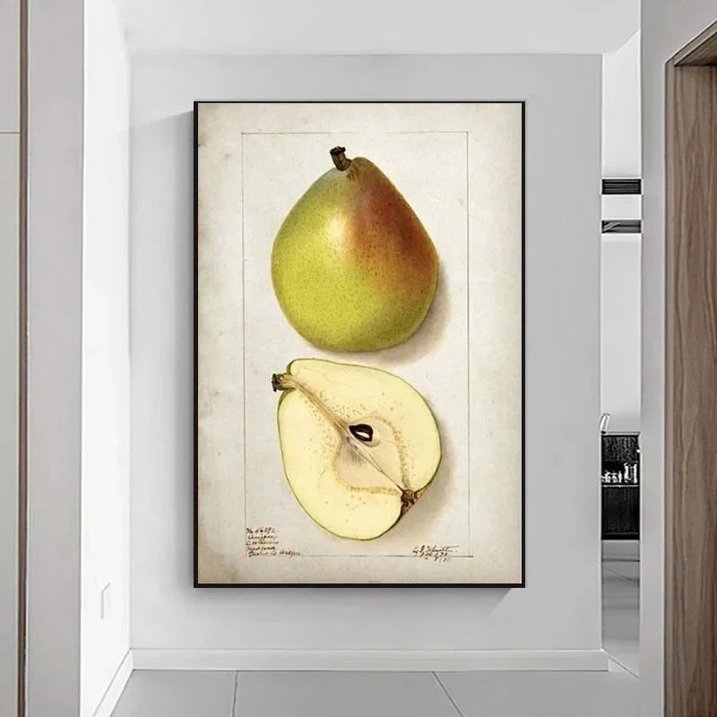 Настенная картина с фруктами ВИНТАЖНЫЙ ПЛАКАТ печать на кухонном холсте груша