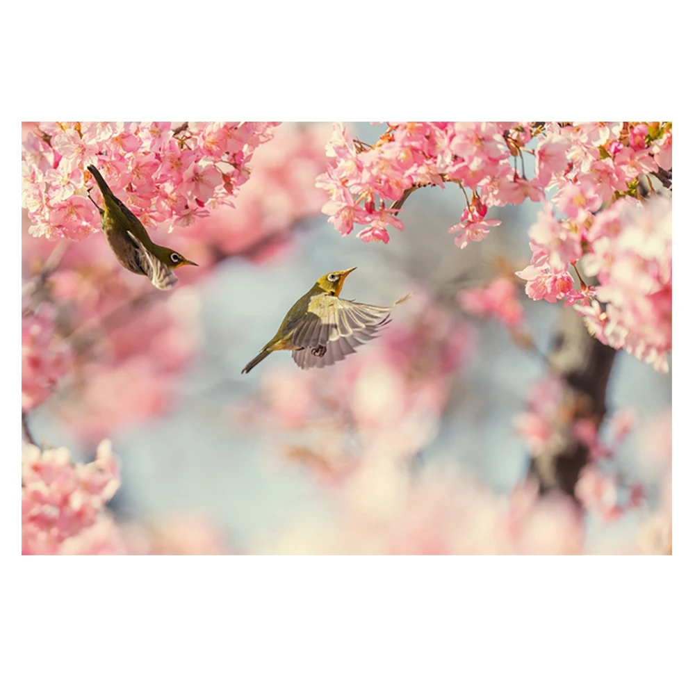 

2023 DIY 5D новая мода пение птицы и ароматные цветы алмазная вышивка мозаика картина алмазная живопись Прямая поставка