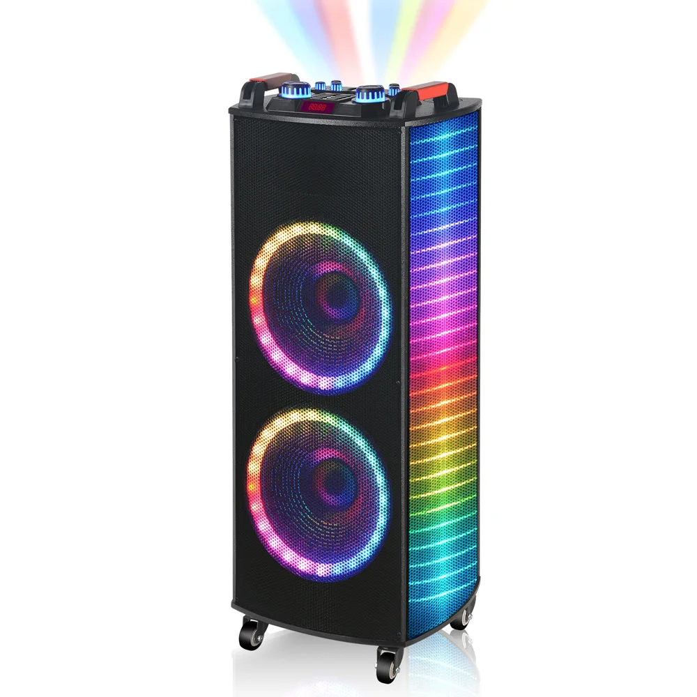 

100W 12inch*2 LED light convenient wheeled trolley speaker high power outdoor Party trolley blue tooth speaker