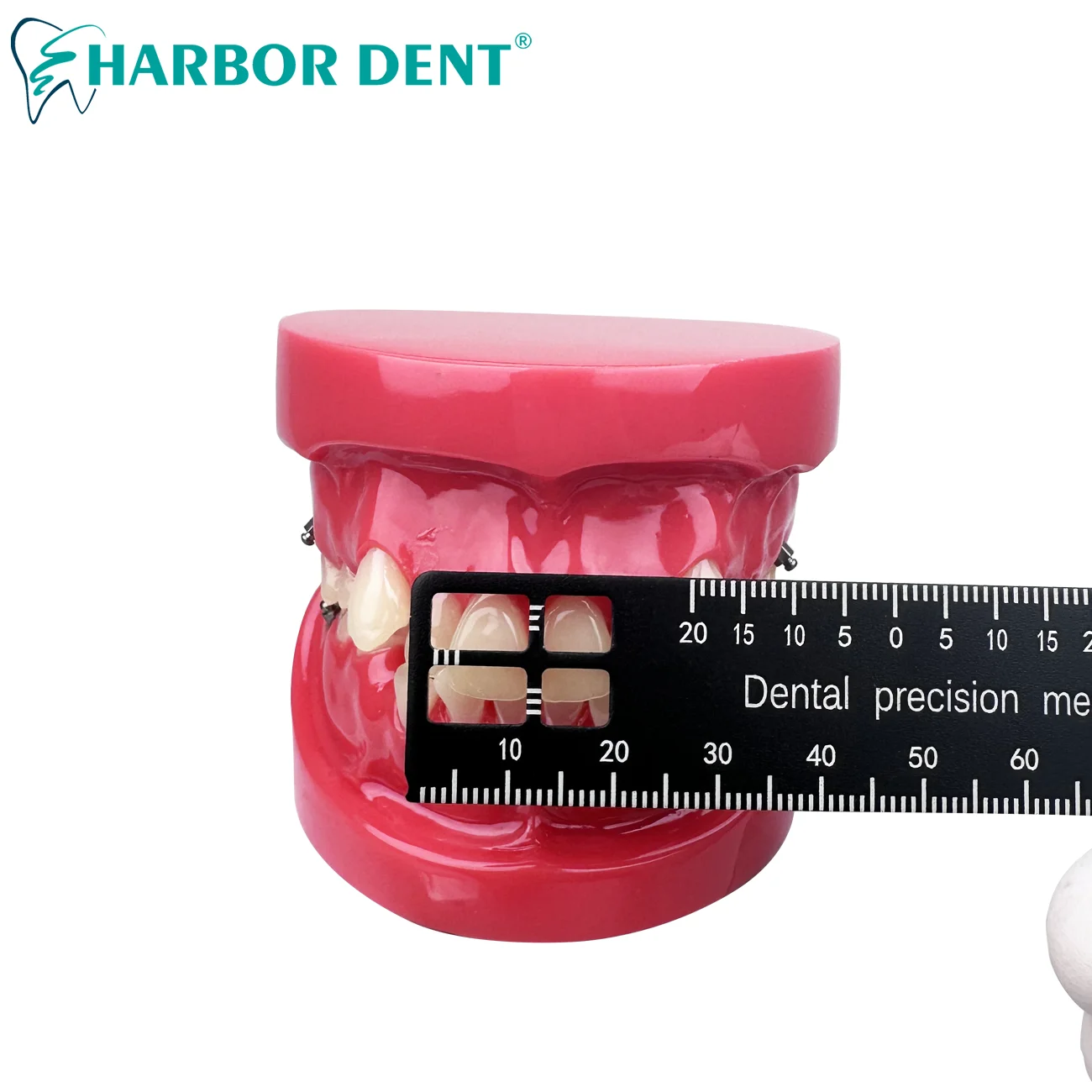 Стоматологическая измерительная линейка