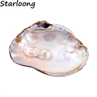 rui long 1pc 1117cm aa quality natural fresh water pearl oyster clam shell for jewelry crafts
