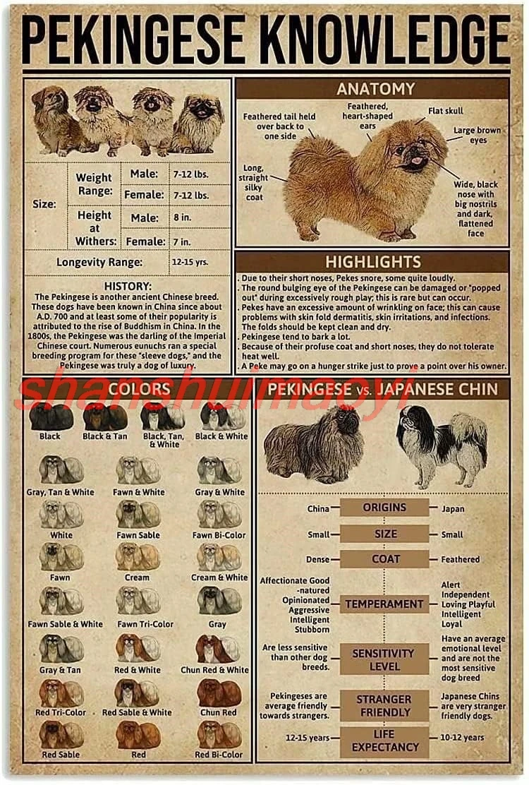 MAI Dog Знания Металлическая жестяная вывеска Анатомия Пекинского