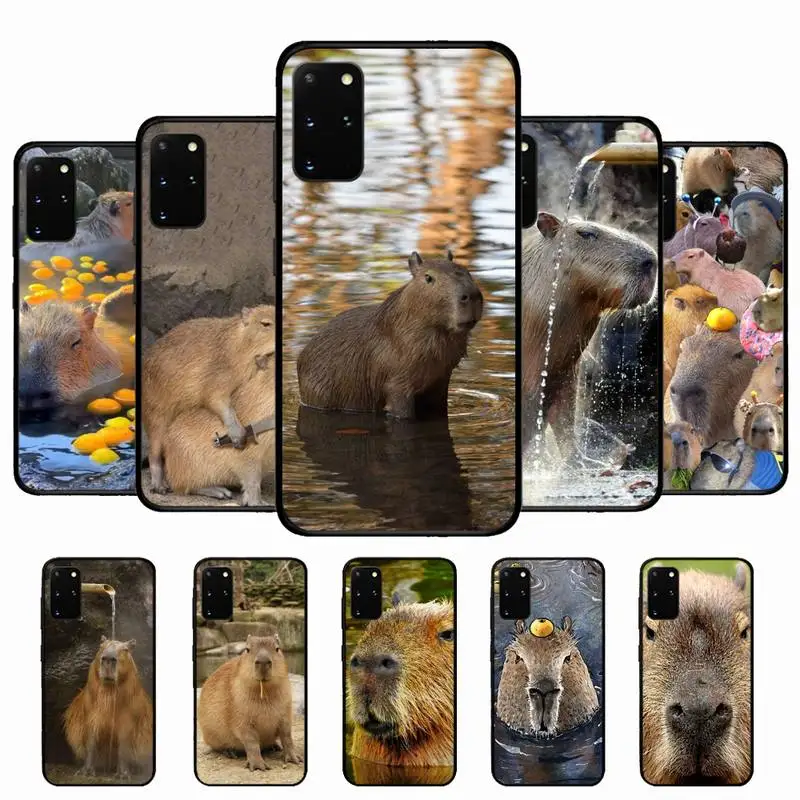 

Animal Funny Capybara Bling Phone Case For Samsung S 9 10 20 21 22 23 30 23plus lite Ultra FE S10lite Fundas