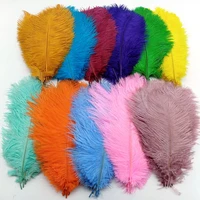 10pcslot ostrich feathers for wedding party table centerpiece decor handicraft needlework accessories carnival plumas 25 30cm