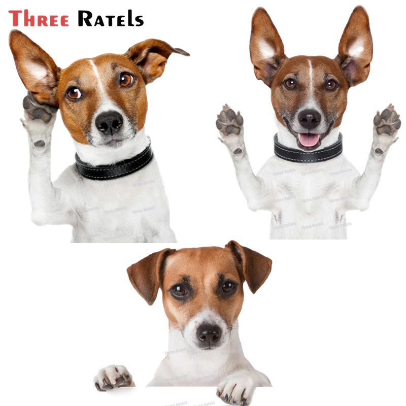 

Three Ratels A93Funny 3D Jack Russell Terrier Dog Motorcycle Bike Stickers Puppy Car Styling Decals