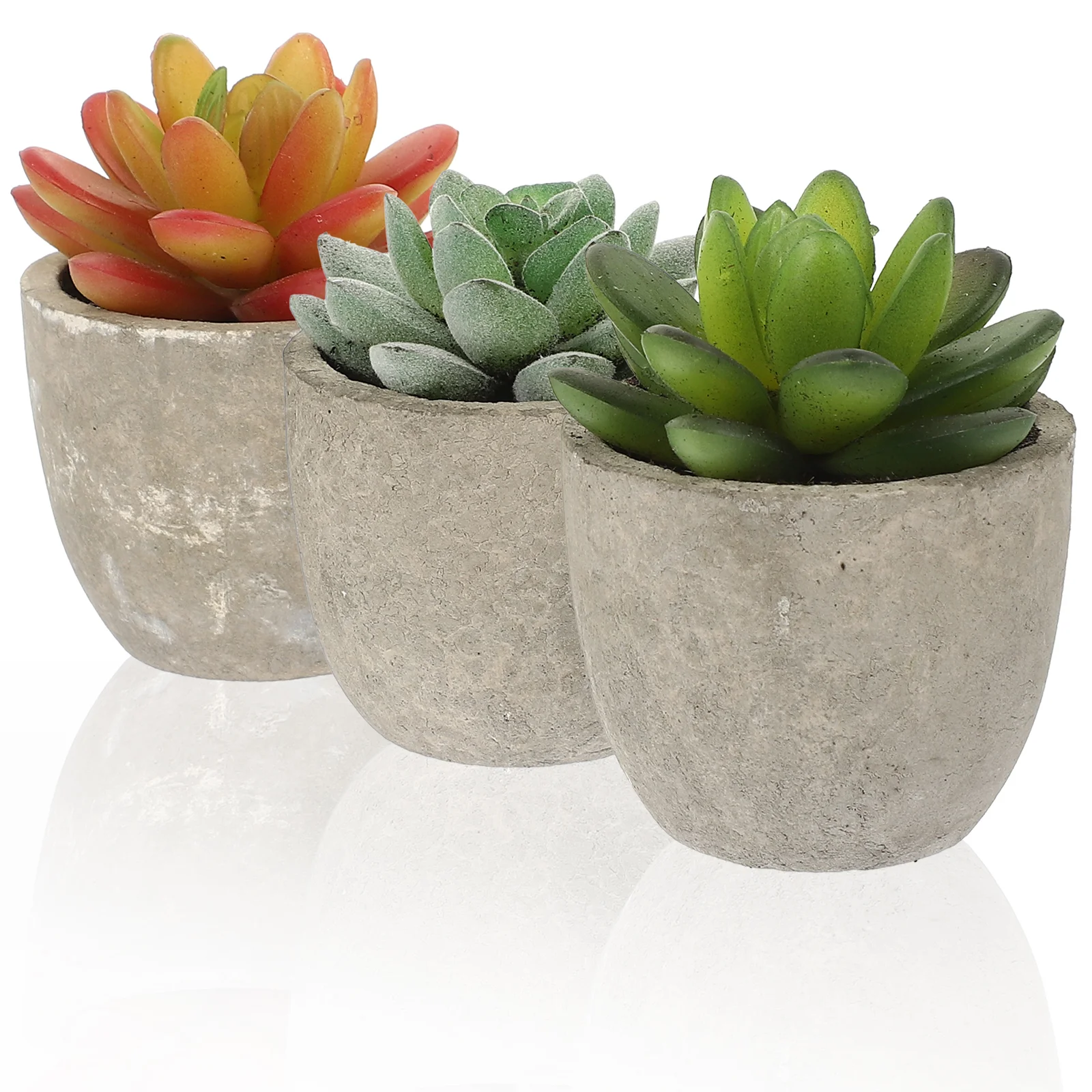 

3pcs Succulents Plants For Home Garden Plants Green False Green Plants for Families Friends