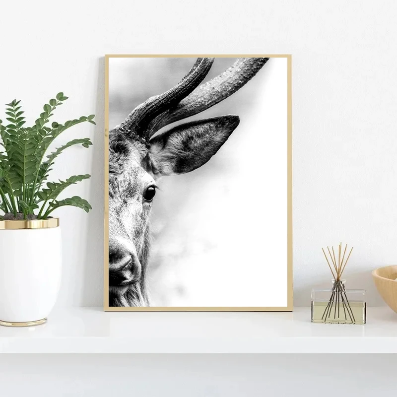 Черно-белая ферма животное Лев гора корова крупный рогатого скота портрет