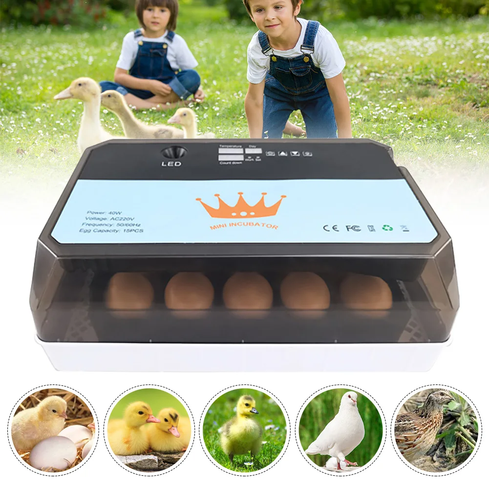 

Full Automatic Egg Incubator 15 Eggs Hatchery Egg Hatchers Incubator Brooder Chicken Automatic Eggs Incubator Bird Quail Brooder