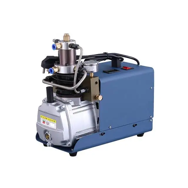 

High Pressure 12v Small On-board Canister Tank Liquefied Lpg Gas Transfer Guide Air Rotary Vane Pump