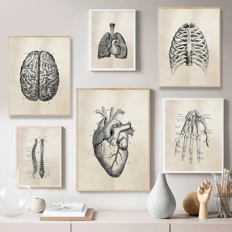 

Настенная Картина на холсте с изображением анатомии человека