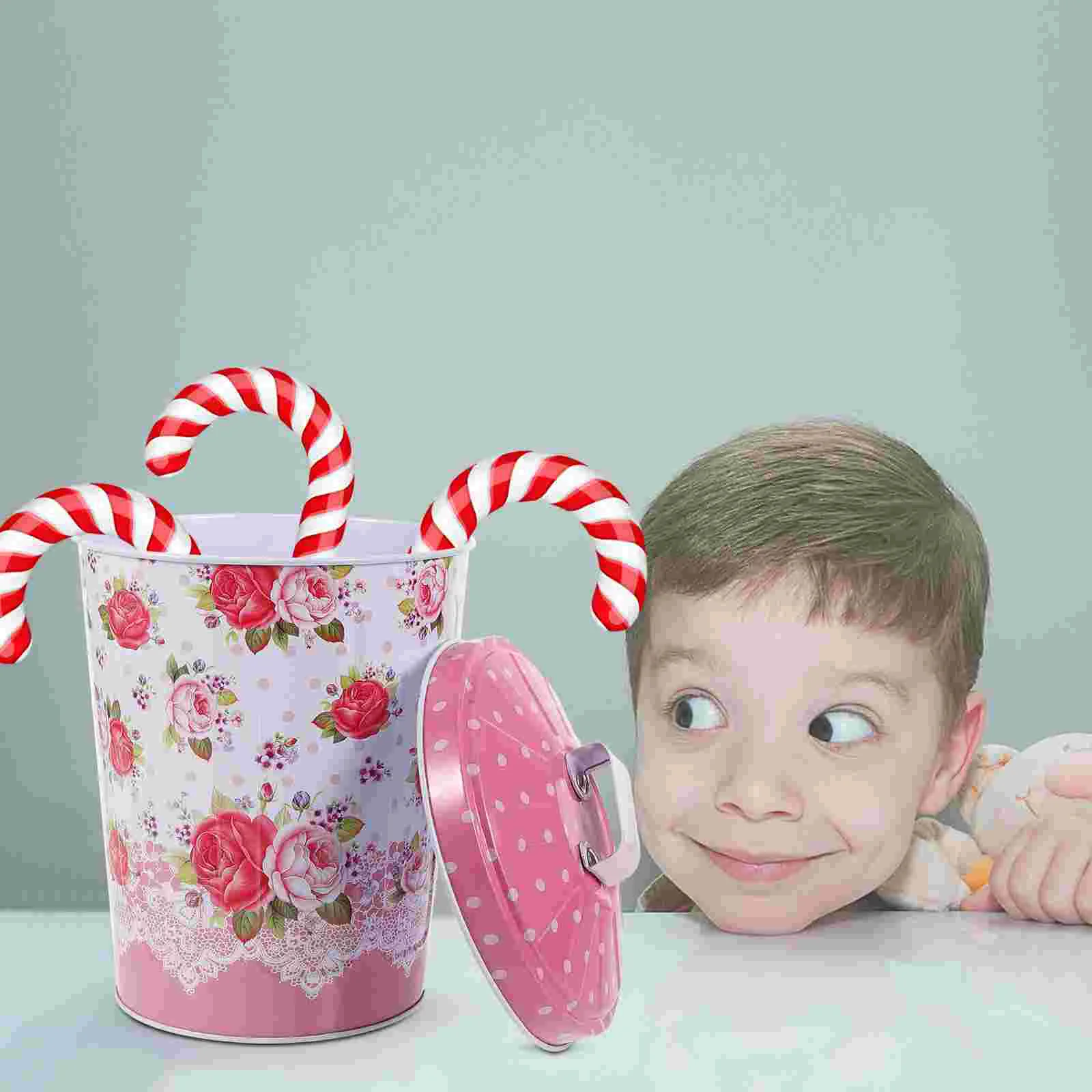 

Tinplate Storage Bucket Wide Mouth Jars Rose Gift Box Snack Lid Cookie Tins Lids