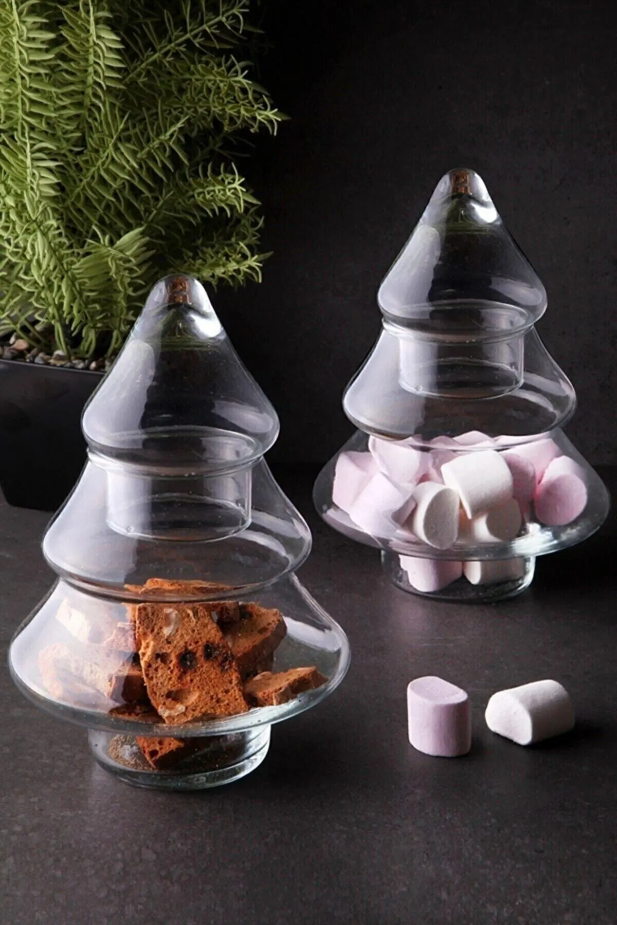 

Pine Tree Cookie Holder Pine tree Glass cookie bowl ..18 cm x 14 cm