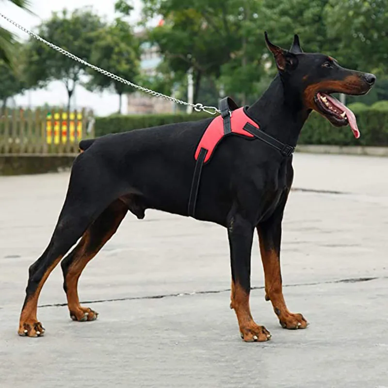 Large Dog Harness No Pull Breathable Adjustable Explosion-Proof Pet Leash Dog Vest Harness for Medium Husky Pups Outdoor