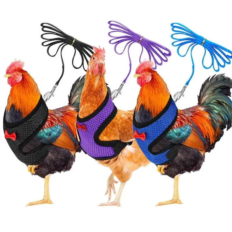 

2022NEW L Size Fashion Chicken Vest Hen Belt Pet Harness Matching Collars Bow Comfortable Leads Breathable Poultry Supplies