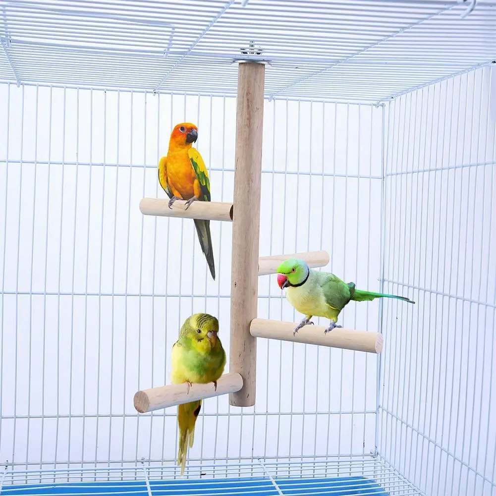 

Bird Perch Stand Toy, Natural Wood Parrot Perch Bird Cage Branch Perch Accessories For Parakeets Cockatiels Conures Macaws K1k7