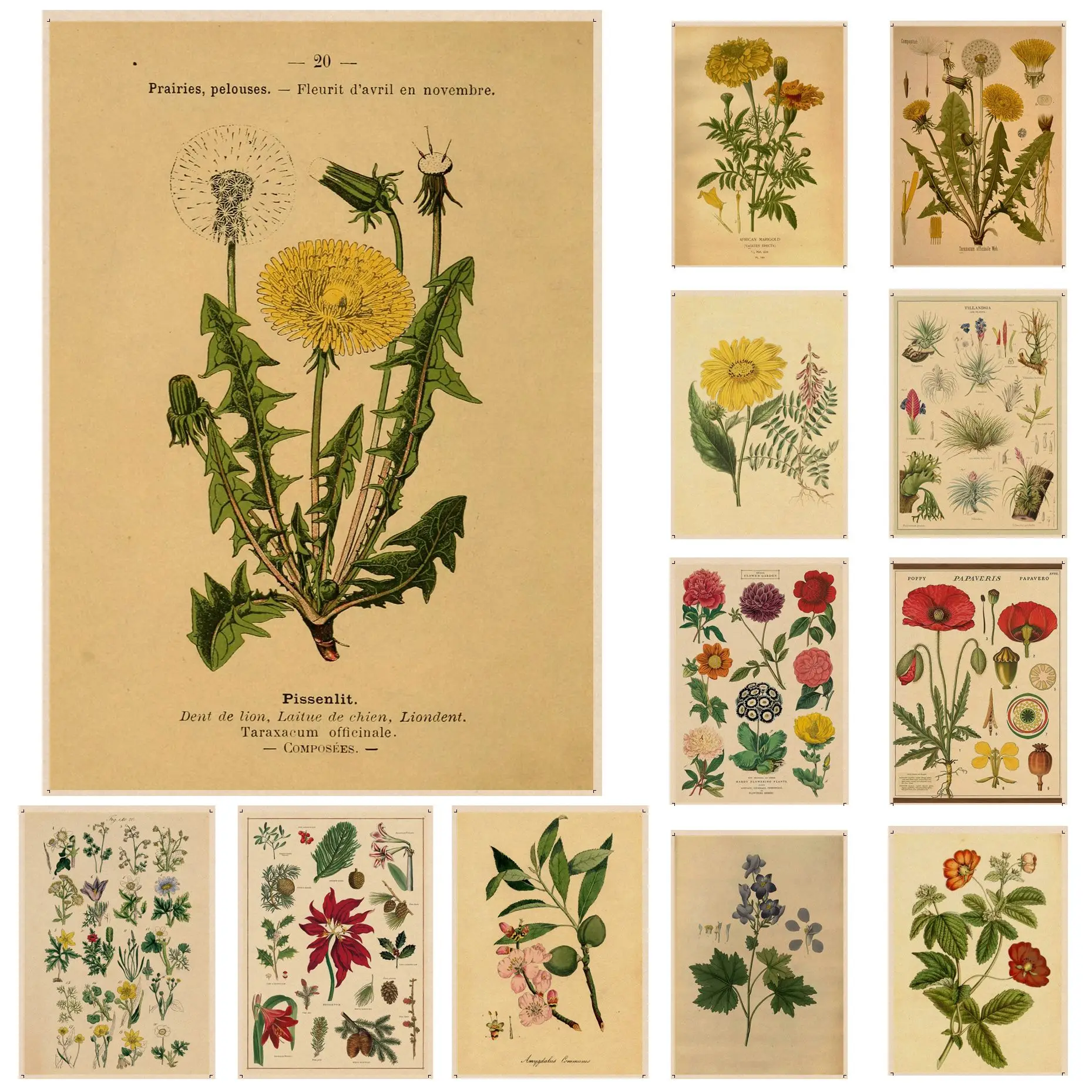 

Vintage Wild Plant Classic Vintage Posters Kraft Paper Prints and Posters Decor Art Wall Stickers