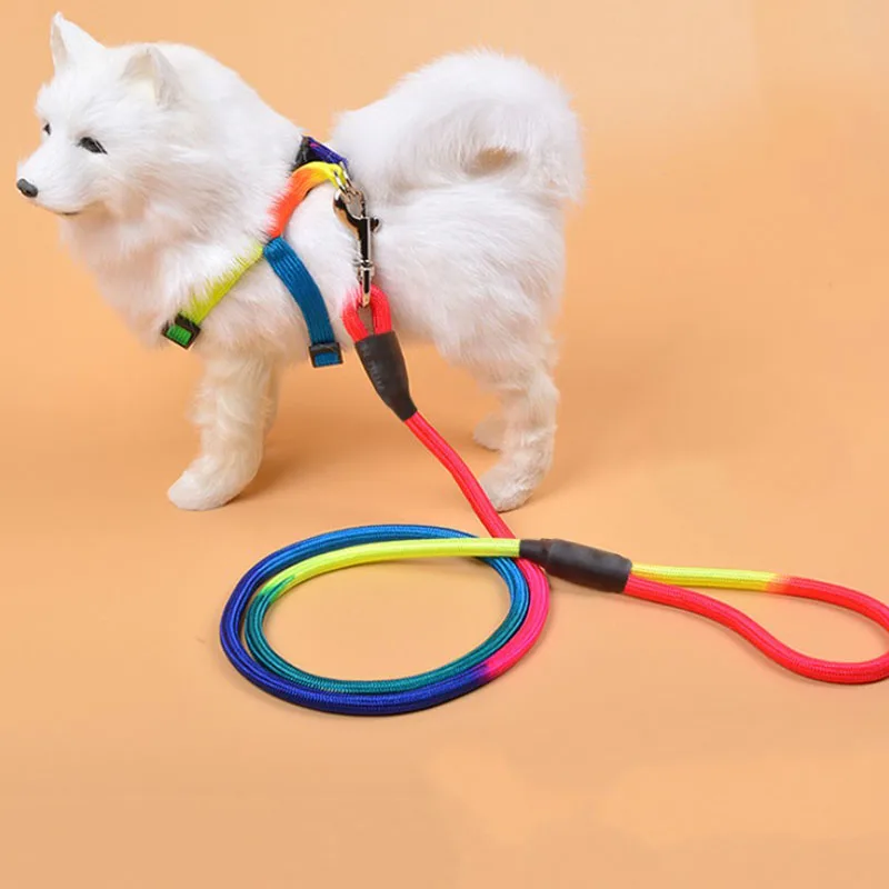 

2 Sizes Dog Leash Running Walk Train for Large Small Cat Pets Leashes Dogs Leash Rope Nylon Tenacity Dog Accessories