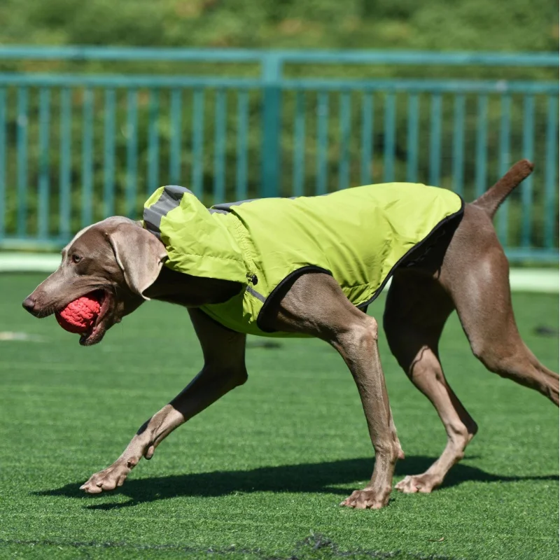 

Popular Pet Clothing Dog Reflective Raincoat Large, Medium and Small Two-Legged Hooded Waterproof Dog Clothes